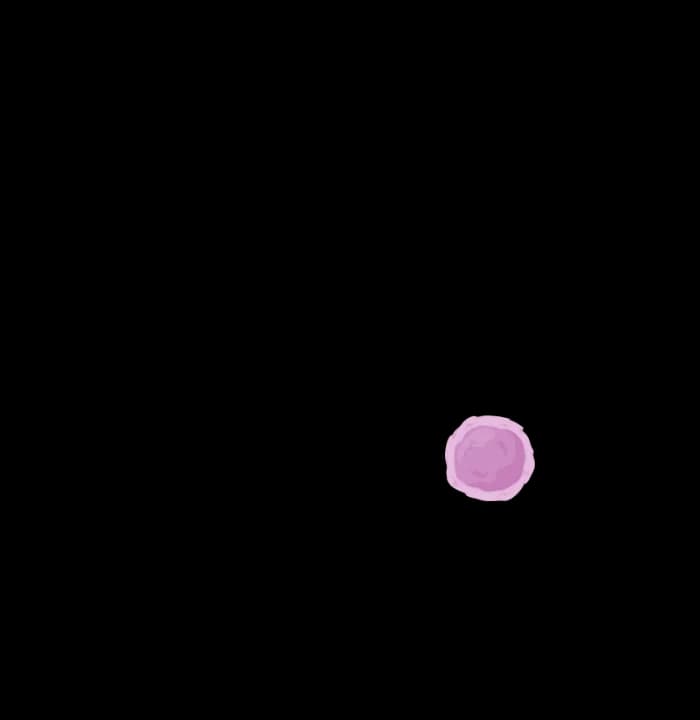 Ação BIO 5